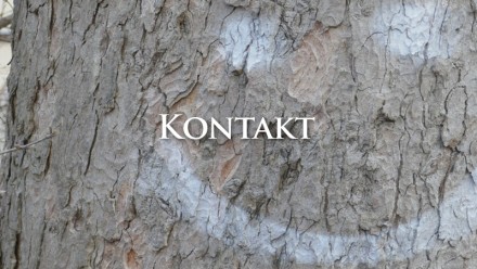 Kontakt
